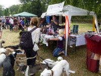 Öffentlichkeitsarbeit