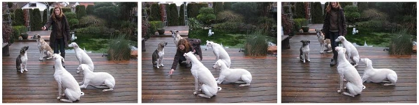 Der Allesfresser unterwegs