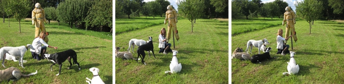 Angst vor Unbekanntem