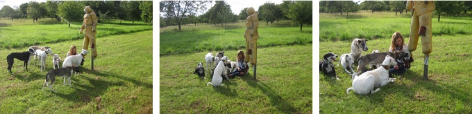 Angst vor Unbekanntem