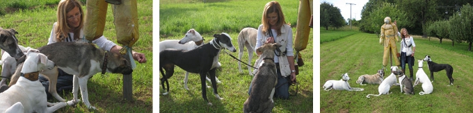 Angst vor Unbekanntem