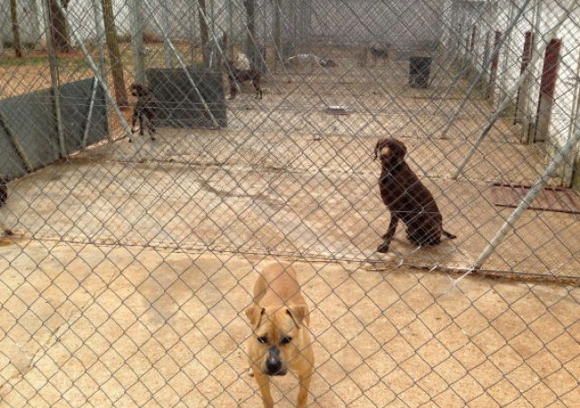 Mehr Platz für den Einzelnen