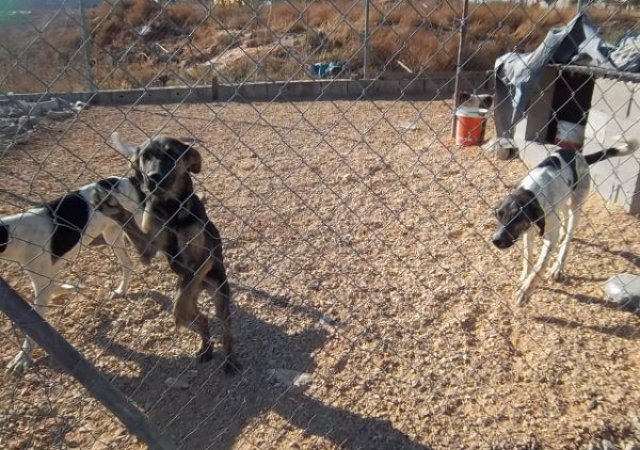 Bodenausgleichsarbeiten