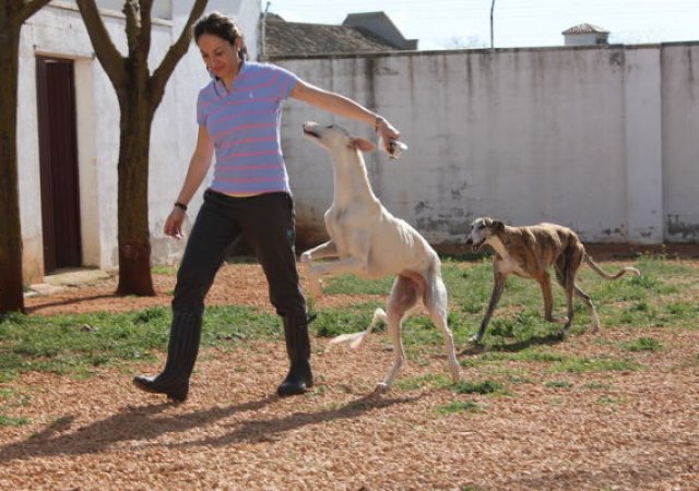 Zuwendung für alle!