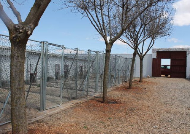 Viel Platz - trotzdem wurde getötet