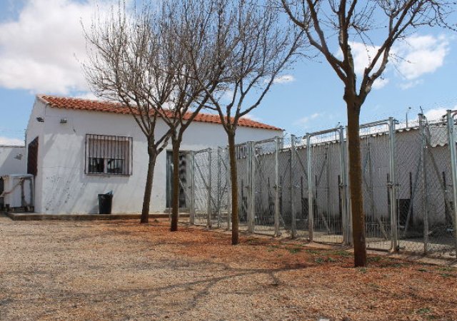 Kein Auslauf für die Hunde