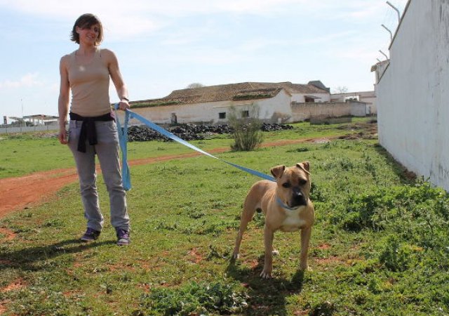Spaziergänge auf den Feldern Rund um der Perrera