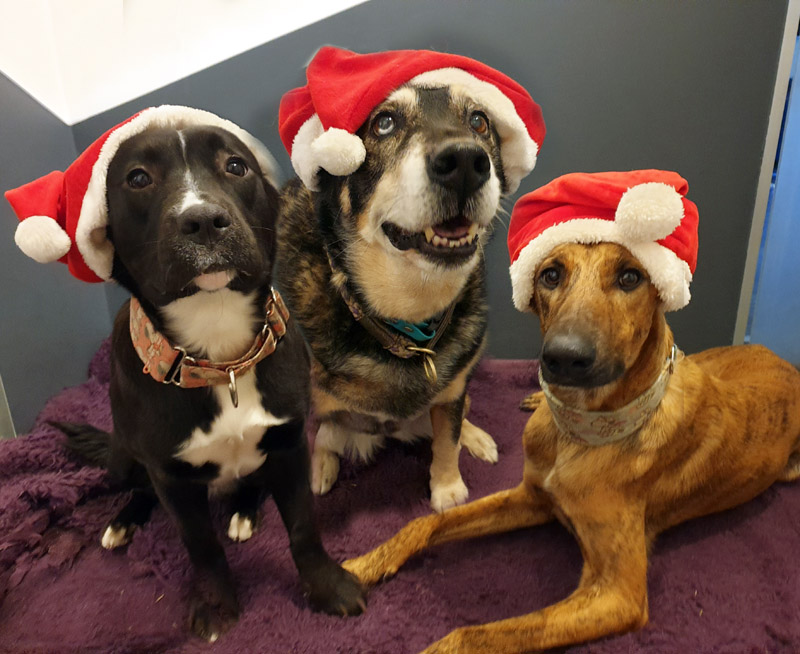 Favio, Hilde und Leila Favio, Hilde und Leila