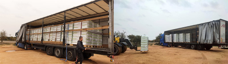 Veto-Futter-Spendenankunft in Villarobledo Veto-Futter-Spendenankunft in Villarobledo