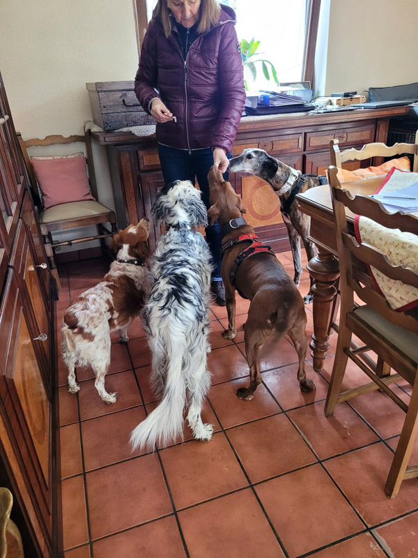 Ipa auf ihrer Pflegestelle Ipa auf ihrer Pflegestelle