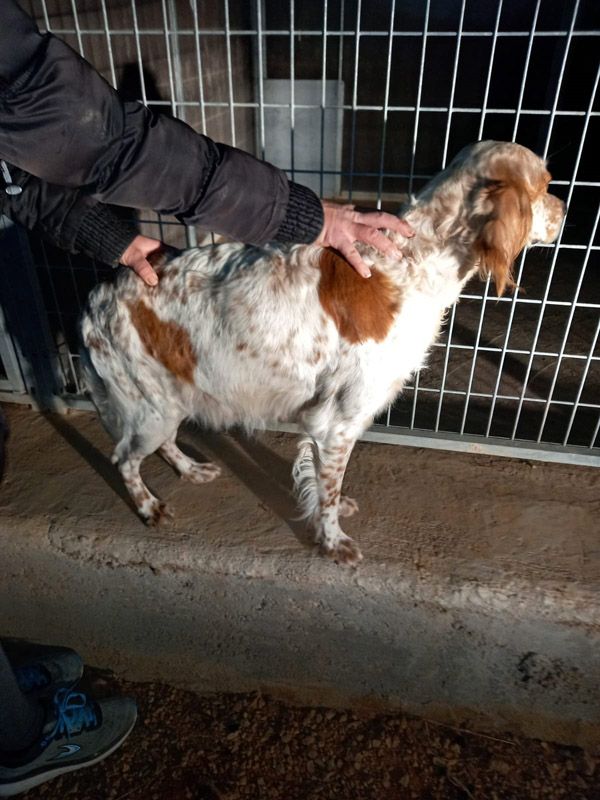 Ines bei der Aufnahme