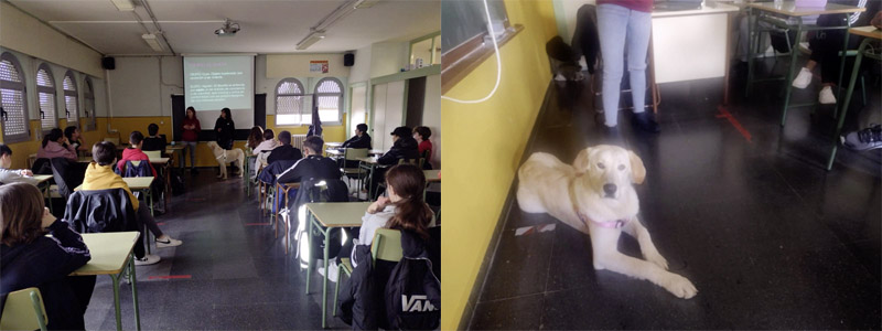 Tulli bei der Öffentlichkeitsarbeit in einer Schule