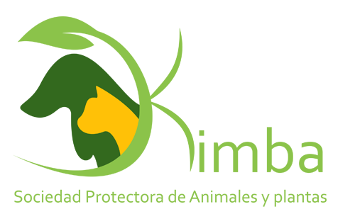 Tierheim Refugio Kimba